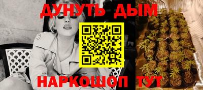 крисы Волгодонск