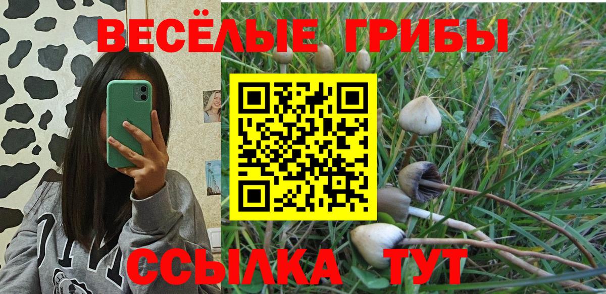 Горно-Алтайск  продажа наркотиков  Вход с VPN  Псилоцибиновые грибы прущие грибы 