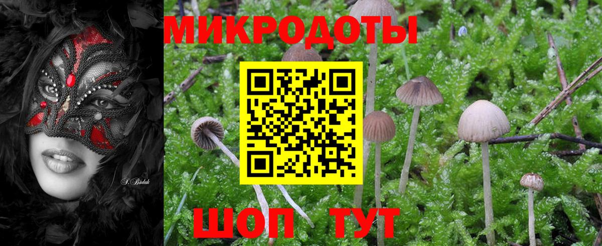 Плюхи  Alpha-PVP  Вход с VPN  Продажа наркотиков  Канабис  МЕФ  Герыч  Кокаин  LSD-25  Горно-Алтайск  МЕФ 