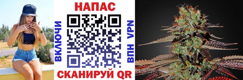 Марихуана OG Kush дарнет шоп Горно-Алтайск